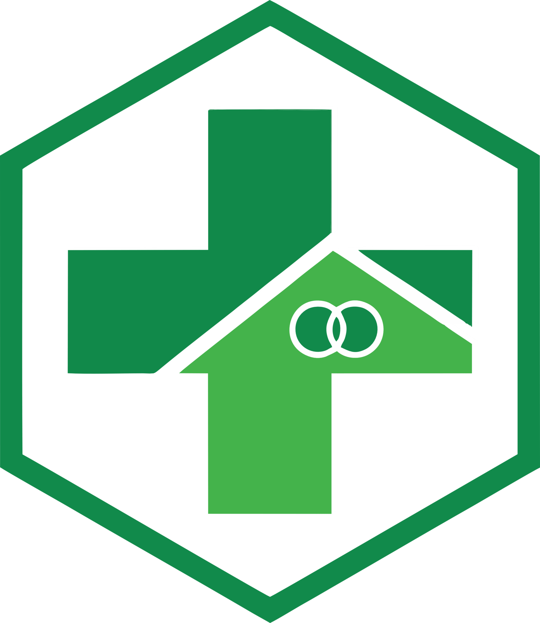 Logo Puskesmas